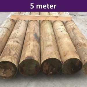 Douglas Houten paal 5.0m